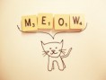 /album/galeria/cats-cute-words-cat-paper-fun-d59cd169467835b040307d5cf3c4076a-h-jpg/